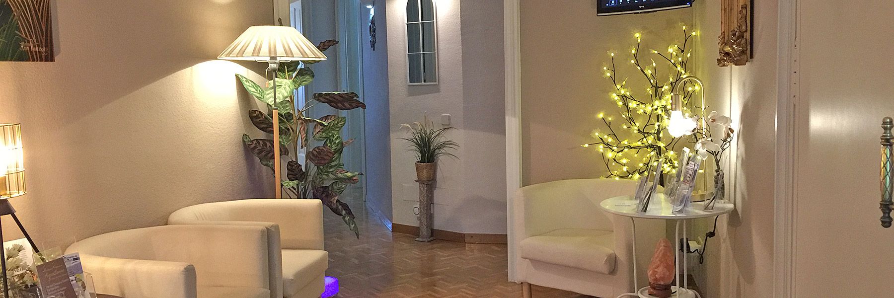 Visitas semanales de 30 minutos